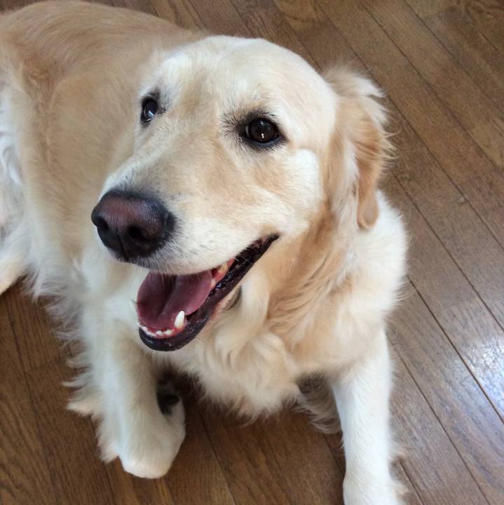 D5c67364 703c 4344 a339 59aa13267ecc