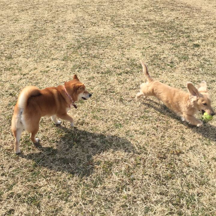 D5c6778d 7b8b 43a6 a916 245097c68d39