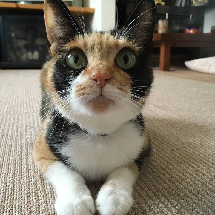 D5c6a446 a9fd 4d65 bbe3 24eb9890c2a3