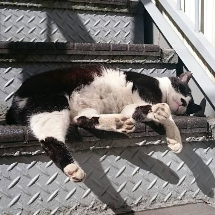 D5c7e867 3986 4105 b583 ee4cb6d8f939