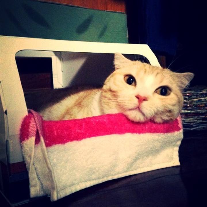 D5c7f001 b52e 4dab b7a3 e69f5c136df8