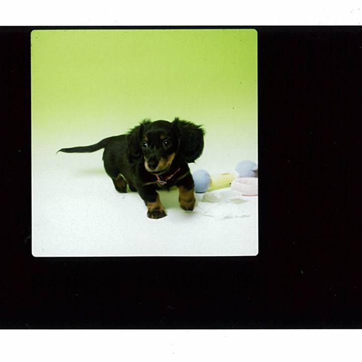 D5c808f4 633c 4312 aac1 4747b07d229e