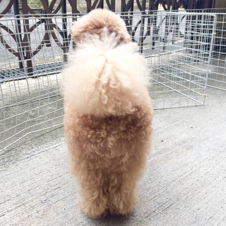 D5c86db9 4128 422f aeb6 b3ec3c7c2808