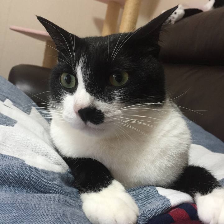 D5c89696 23d3 48db ab1b 1751c8dc737a