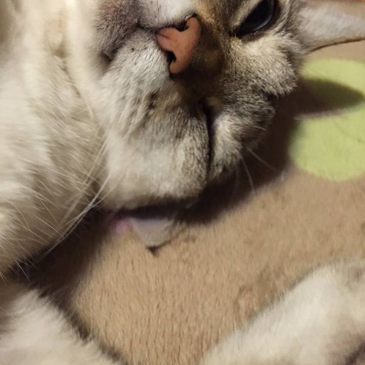 D5c8ed3d df3a 4704 b9d4 7e4a97f421f9