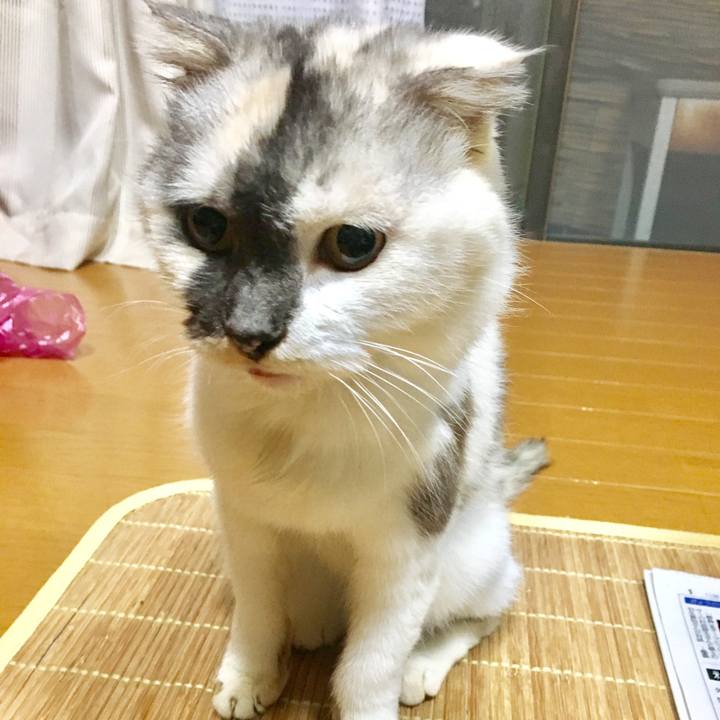 D5c90244 c2e6 44d1 862e 0827b3578669