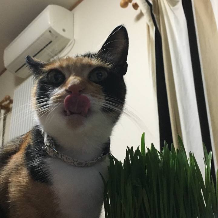 D5ca1877 780b 4263 a347 f76050cbeaed