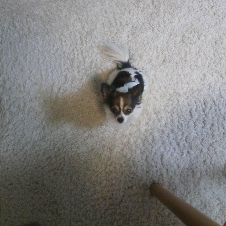 D5ca3e46 3446 4f93 8c1a 4329d625f32c