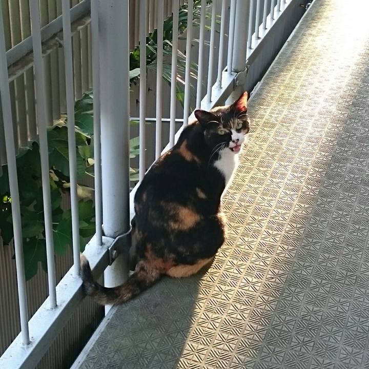 D5ca6531 c249 4a48 9e98 86ba8652b77b