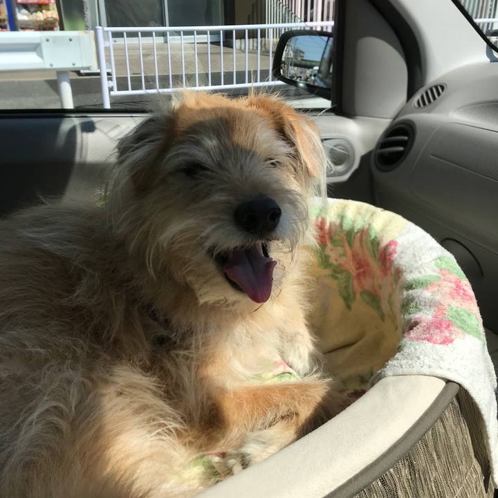 D5cb7495 2f0c 4283 8d30 aa98ec1ff462