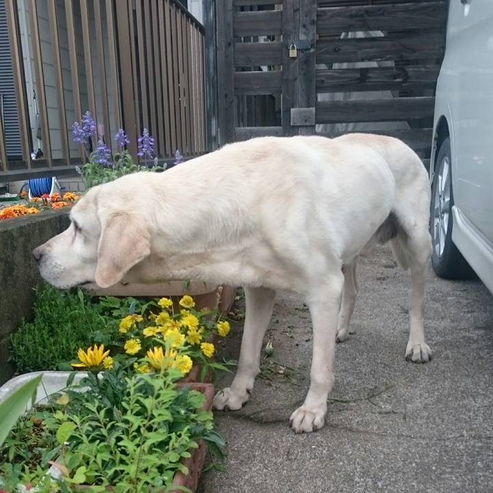 D5cbce84 a4c2 4f67 a431 ca742a823aee