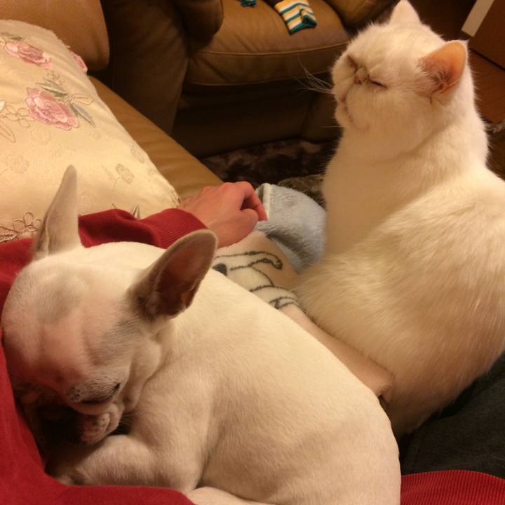 D5cbfa13 6595 41f7 a113 ea40689786fe