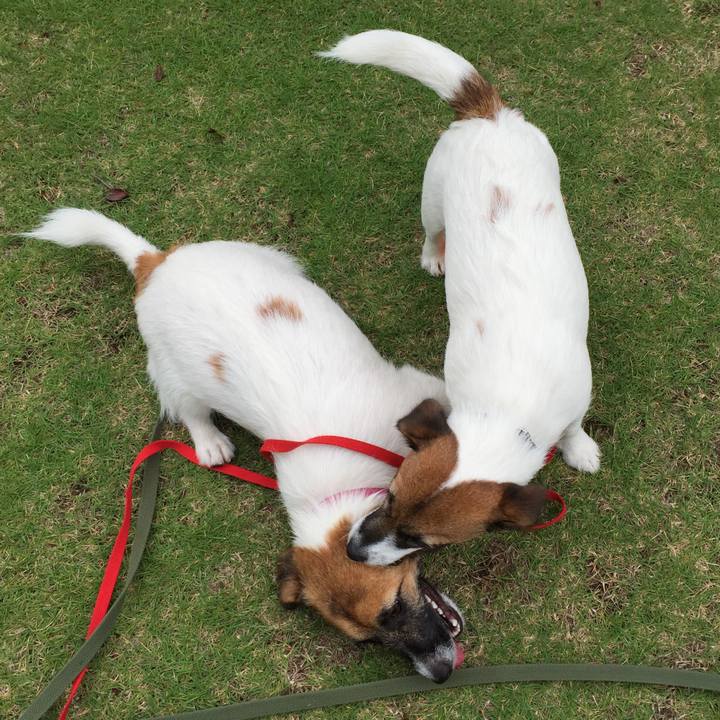 D5cc3178 0ba8 4510 9965 b5673b15c3e0