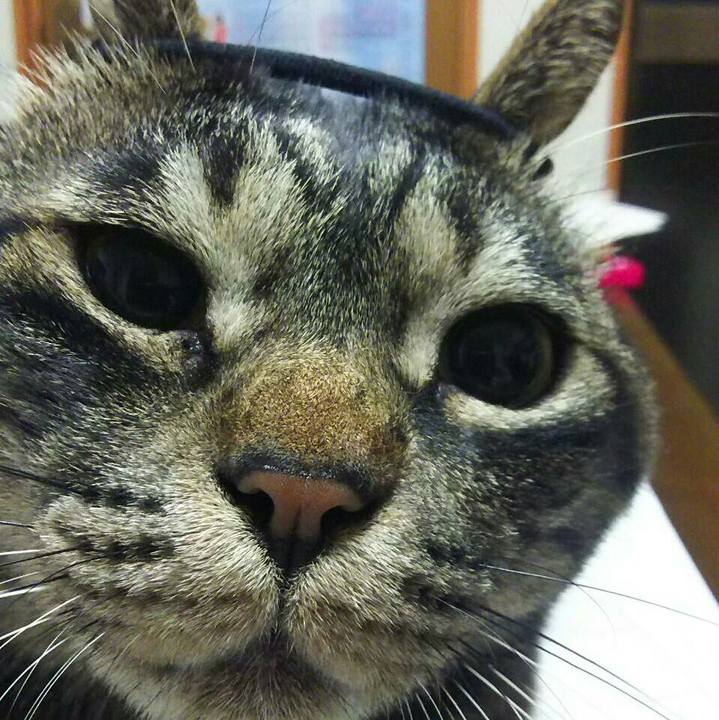 D5ccf6ad 46a8 4cb4 bbaf 3000b37e1890