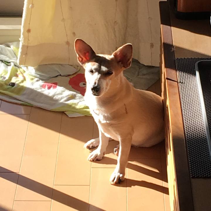 D5cdb861 df60 45b1 bf68 3f2715f088ca