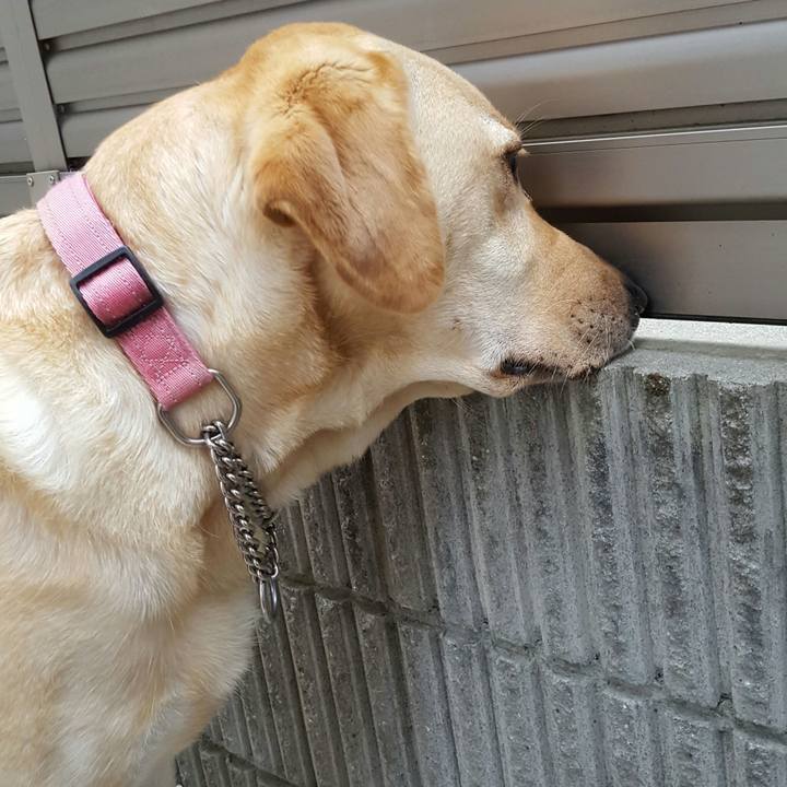 D5ce9ee8 a2f0 4234 9aee 1a061eeb2d8a