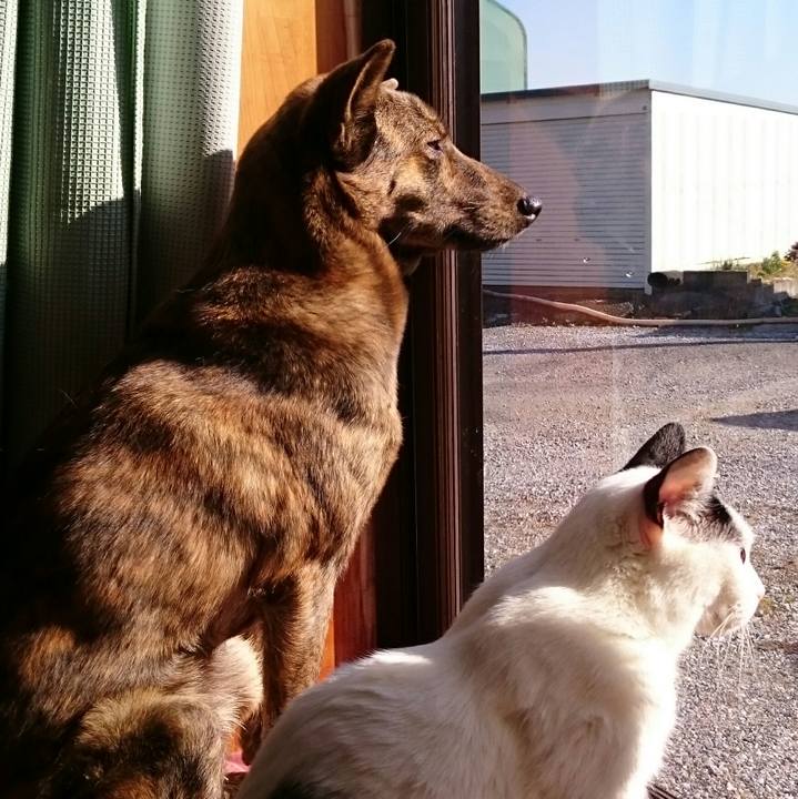 D5cea5ea ba35 4710 9a37 ef8d705efa41