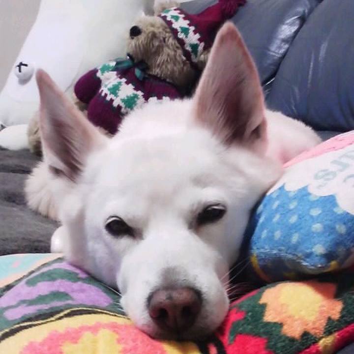 D5cf0768 dc98 4cf3 ae9b 42d73322bb8b