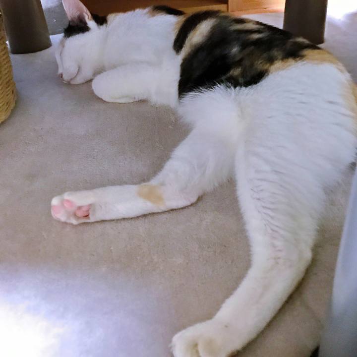 D5cf5d1c 9e47 4d75 8050 0daee68adfff