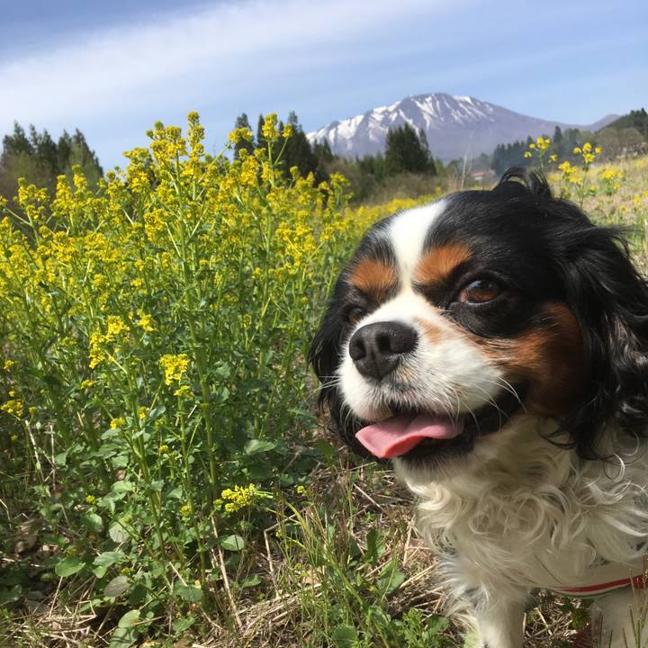 D5cfc4ea 0b95 4476 9221 c5ae598e541c