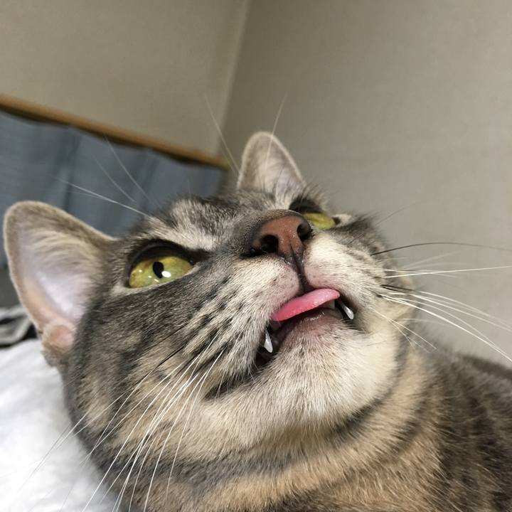 D5cff922 319b 4ffe b671 e9429755a38c