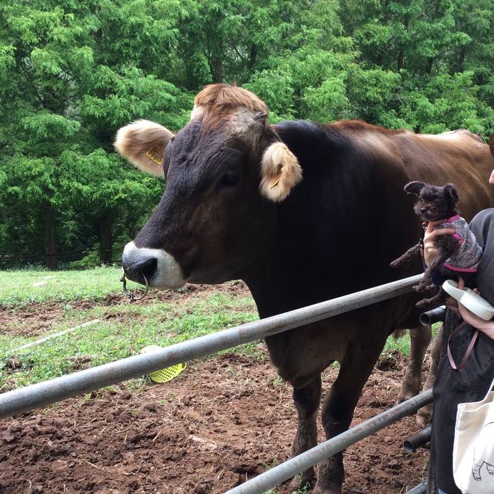 D5d03b67 b034 48e3 bbdf 3579c578d30a