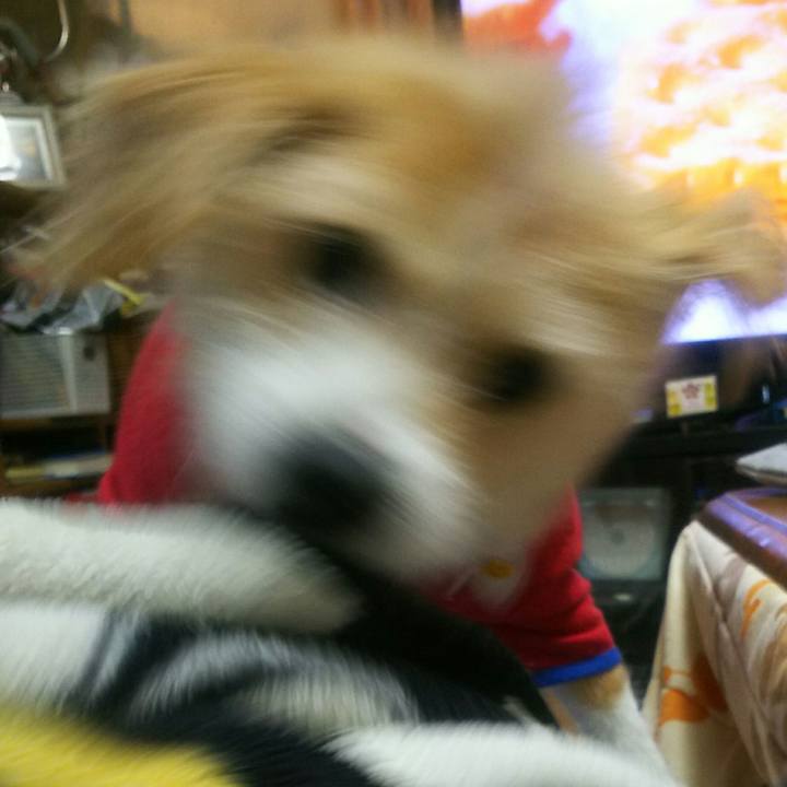 D5d05ee6 70a1 464a b160 f6016ff64ef7