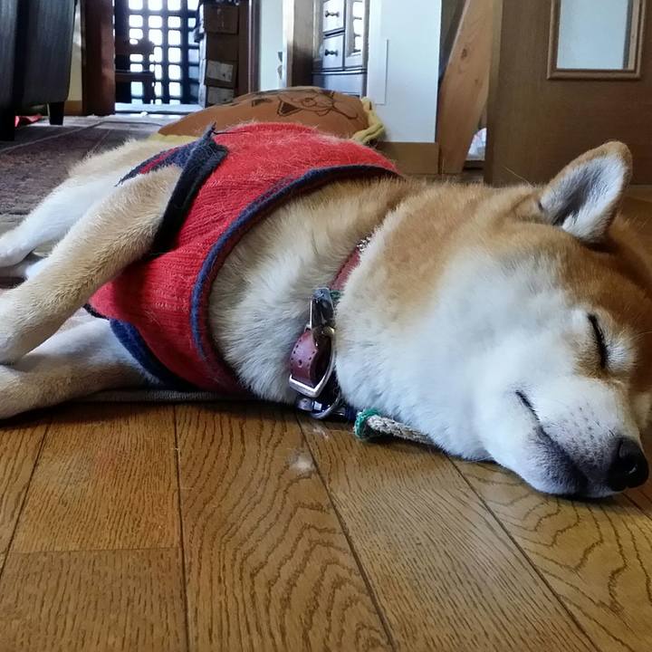 D5d0b5d6 d59b 42ea 9ee3 29d740519681