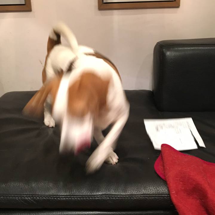 D5d146ea d122 46d1 bbe3 4abd264f989e