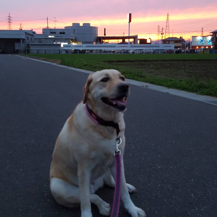 D5d15266 c703 4130 a793 0b781df49243