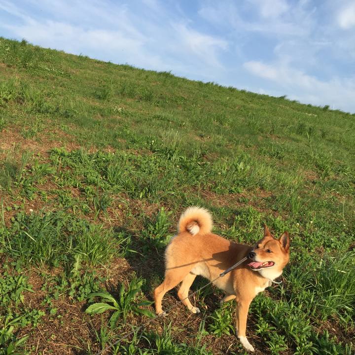 D5d22a7c 4d80 4fe6 ab58 d6e68993ea82