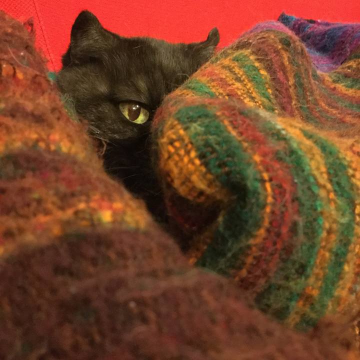 D5d2340a 3a4d 4075 a152 1871674d2063