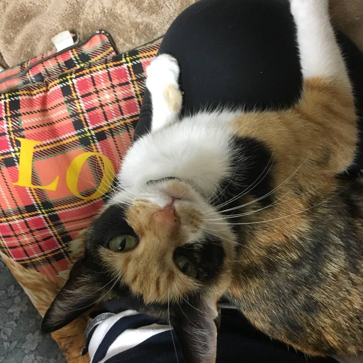 D5d2589b d57c 48c0 9520 092bf8465bce