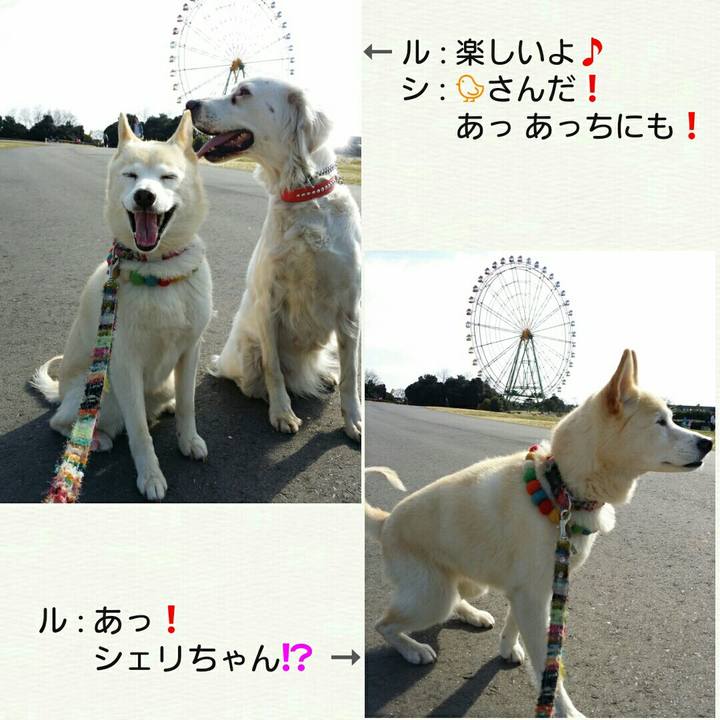 D5d2ed8e e815 4810 a67a a0d2bd8441e3