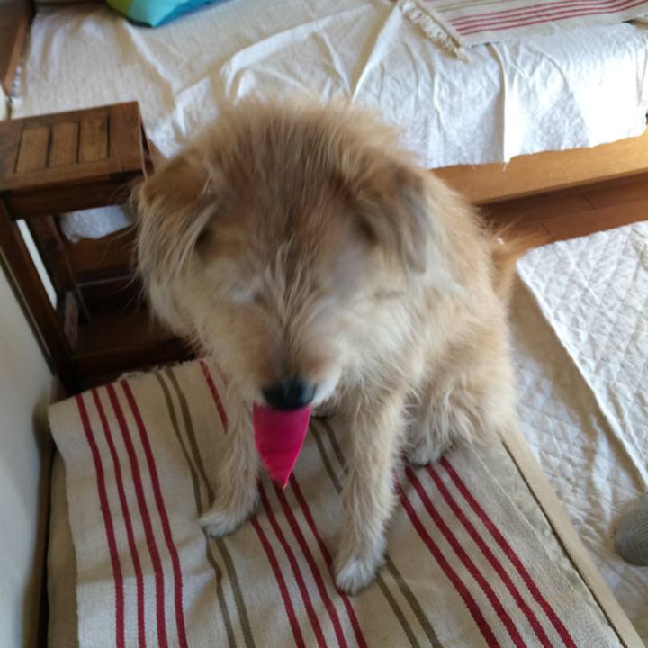 D5d3650e 9b0f 4e99 aaa2 8ca5edb4e667