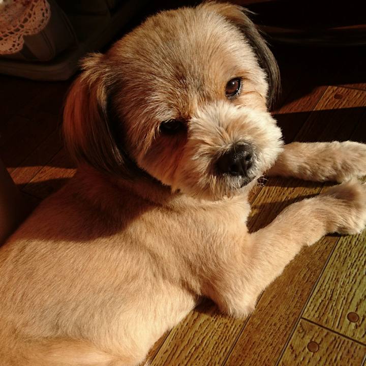 D5d36bf2 d075 40b1 91a8 557b4cb1a615