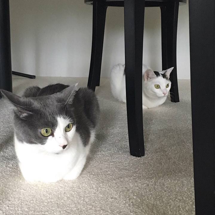 D5d42b2c 2e8e 4c7e b346 1075ea359569