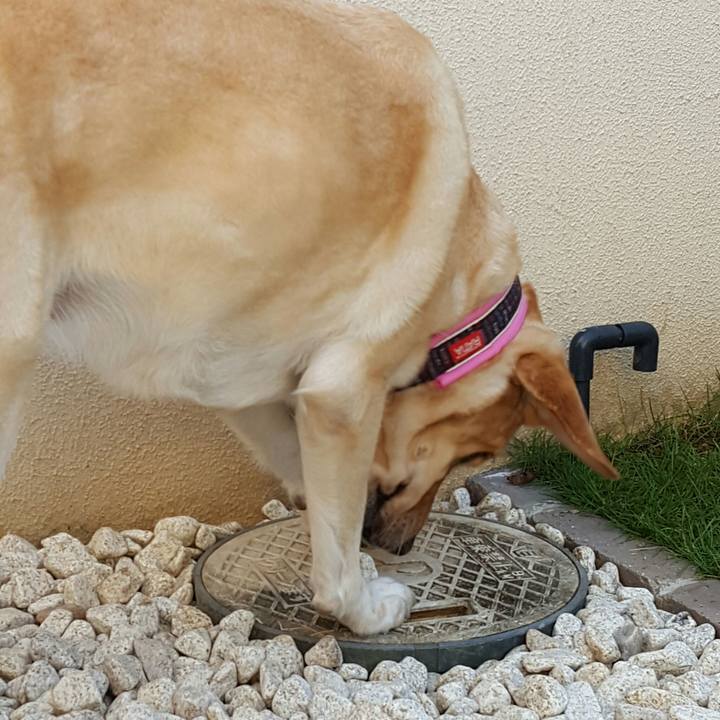 D5d4cd3f 8a92 4470 81fc d48ac9b5f5ea