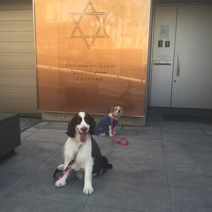 D5d5025e 0126 40e0 9e52 7650f167cb94