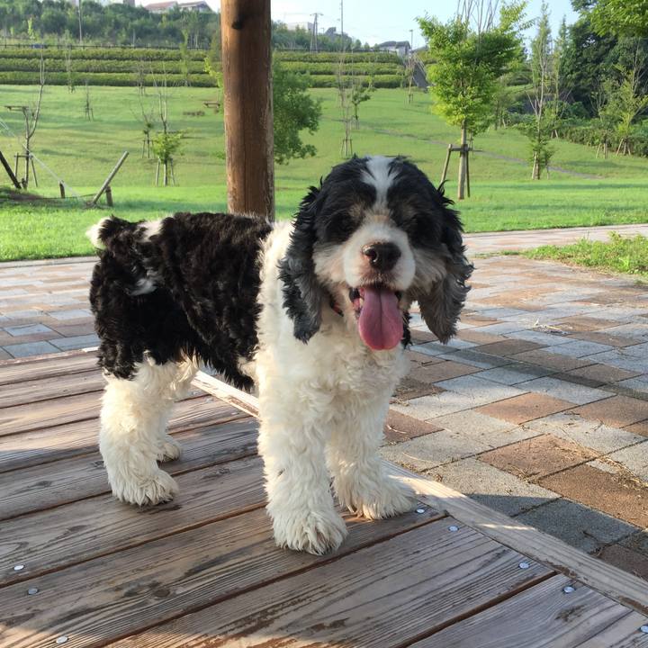 D5d614ff bd0c 4eef 867a 81146448ed60