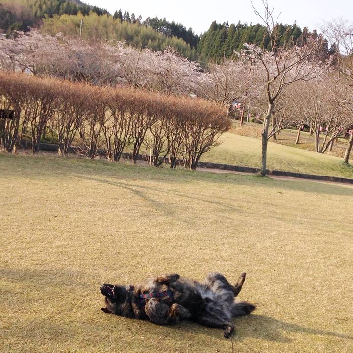 D5d6c6fb 6b17 40b8 91d6 80ee10b2cb0b