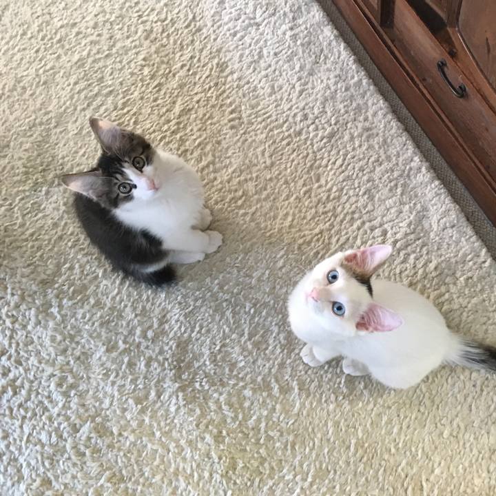 D5d72956 8504 40fc 8264 116548892877