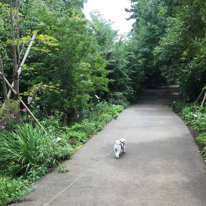 D5d72a73 4850 4580 b4f1 f3bb70643ad0