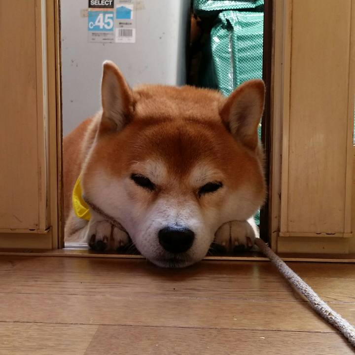 D5d73a2e 02e8 4f44 a5c1 530587096374