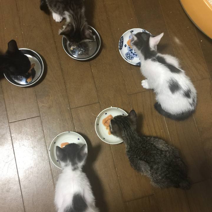 D5d74247 6fc7 4768 a1fb 87c5634c40e8