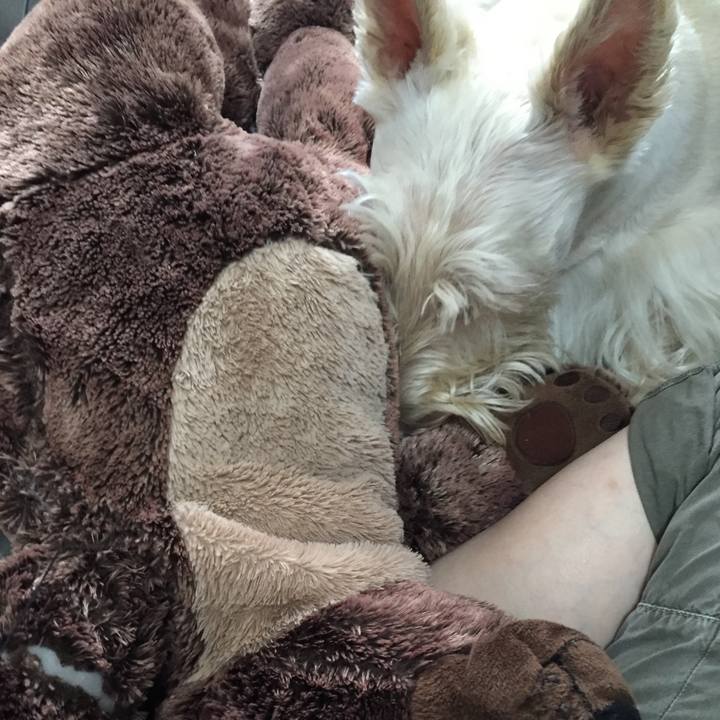 D5d8131f 283d 4616 979a 214483b17776