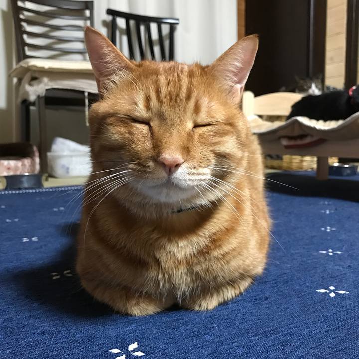 D5d8b391 3335 48c6 be2c f4a1cddcd9db