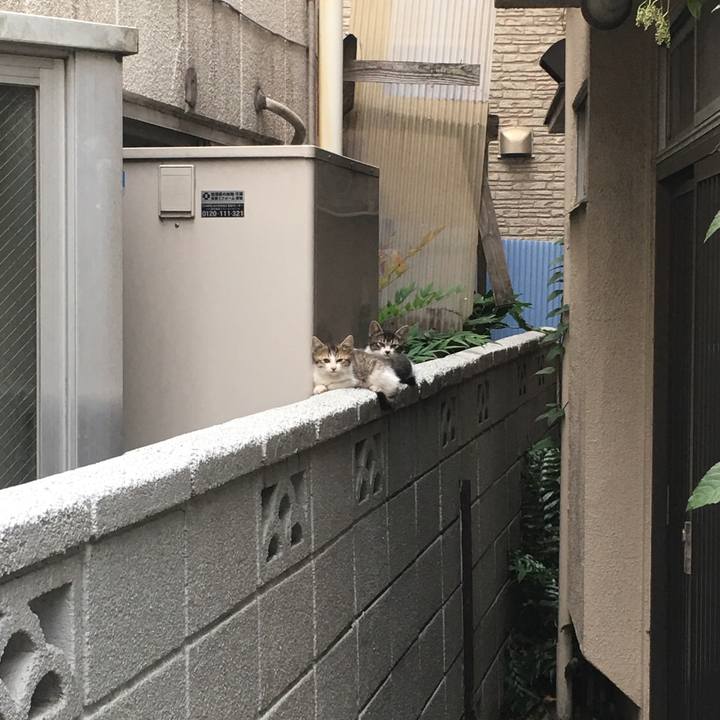 D5d8c6fe 1174 4eee a819 a74ed3fed9cc