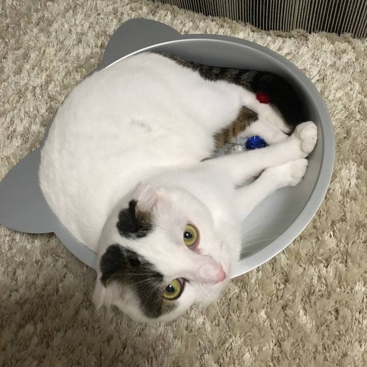 D5d8d4f1 6faa 4798 a956 a9ca2751989c