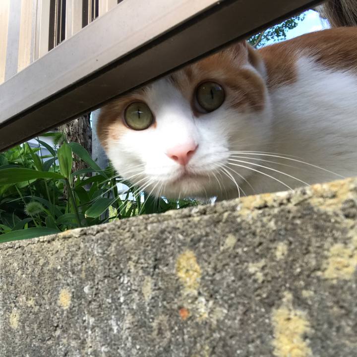 D5da771a 8113 4592 9040 80a843cfe5e5